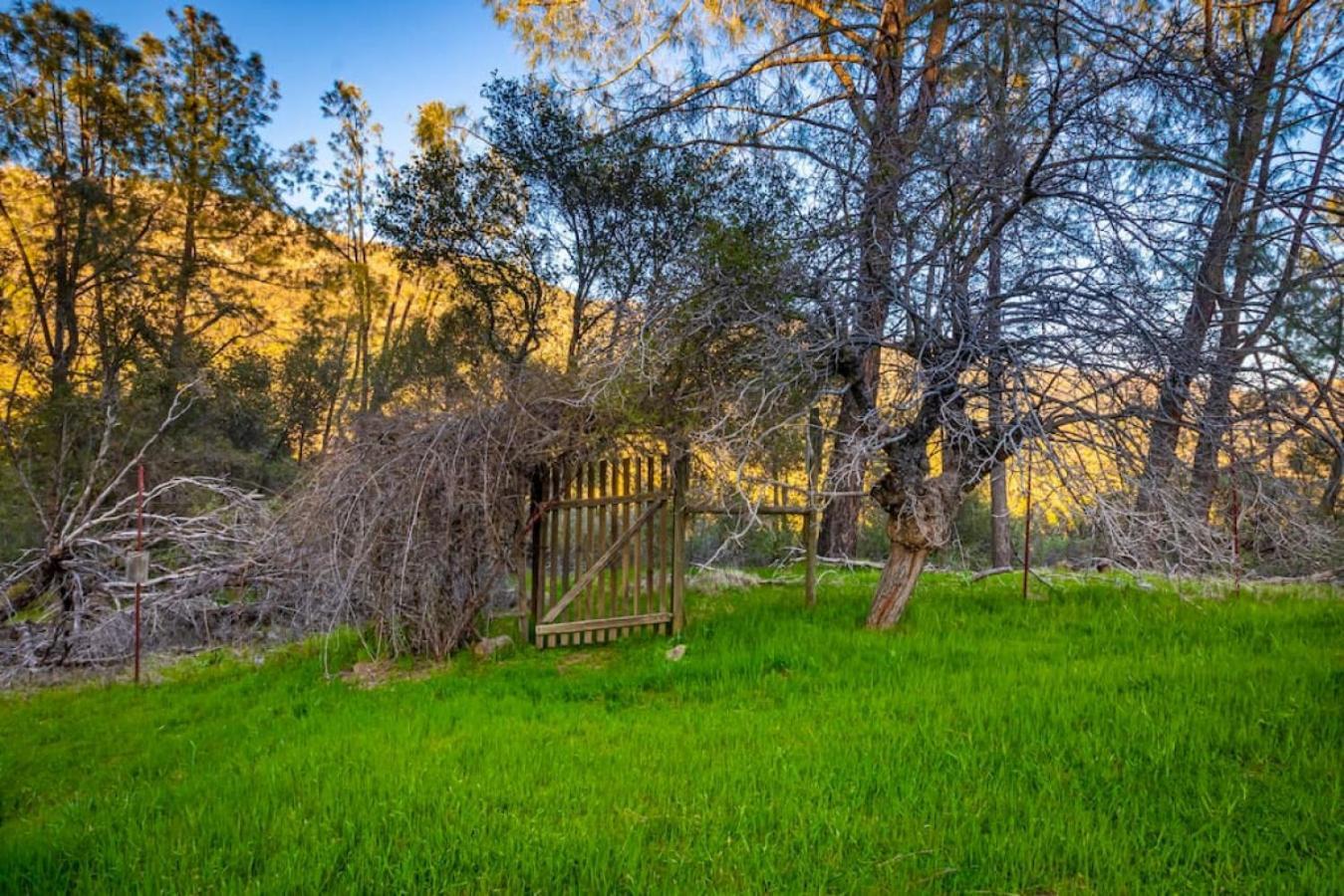 Sierra Vista Lookout Lodge: Creekside Retreat Near Bass Lake & Yosemite North Fork Exterior photo